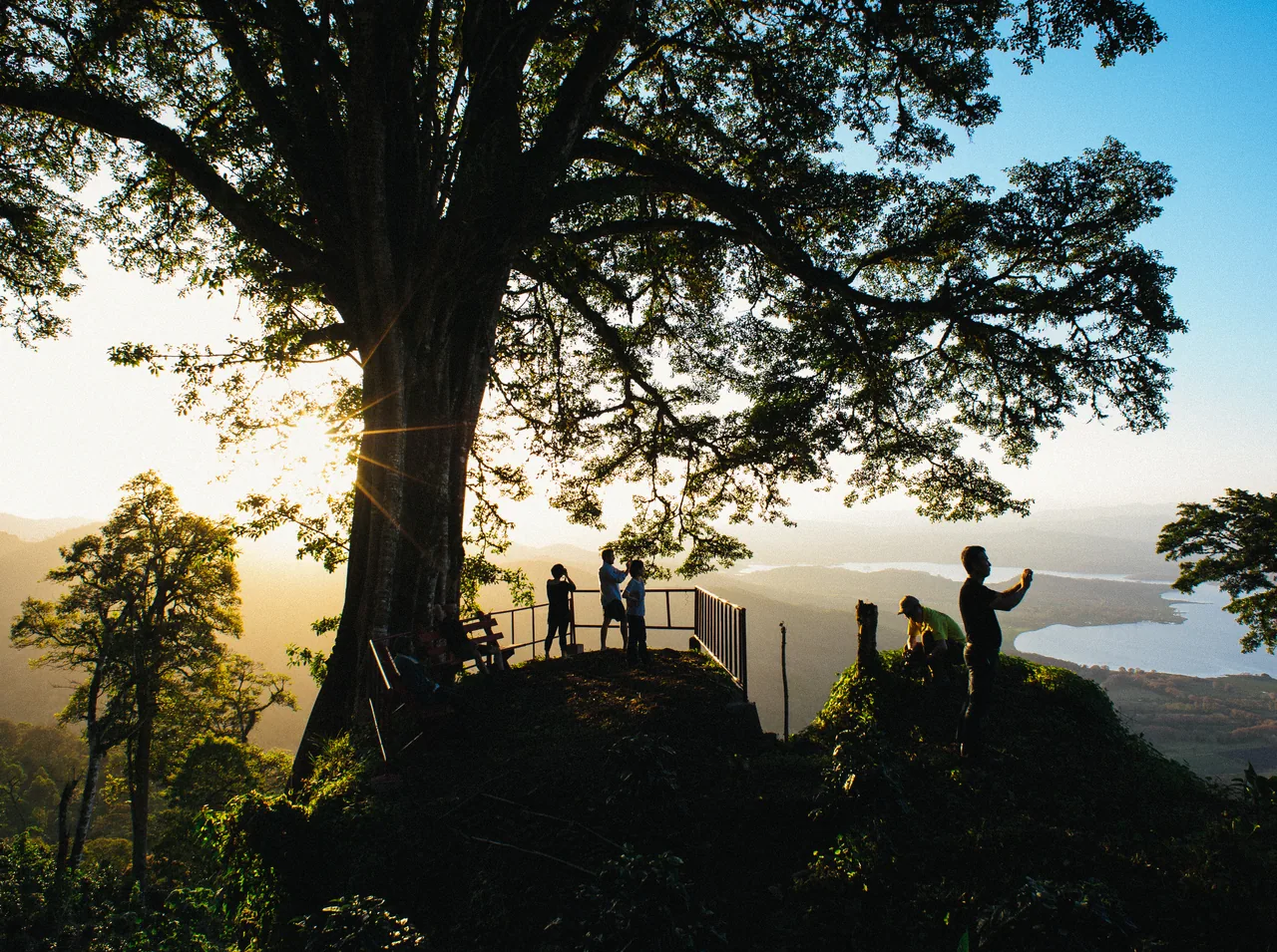 Árbol a contraluz en un mirador, con siluetas junto a una barandilla y un lago lejano entre montañas.