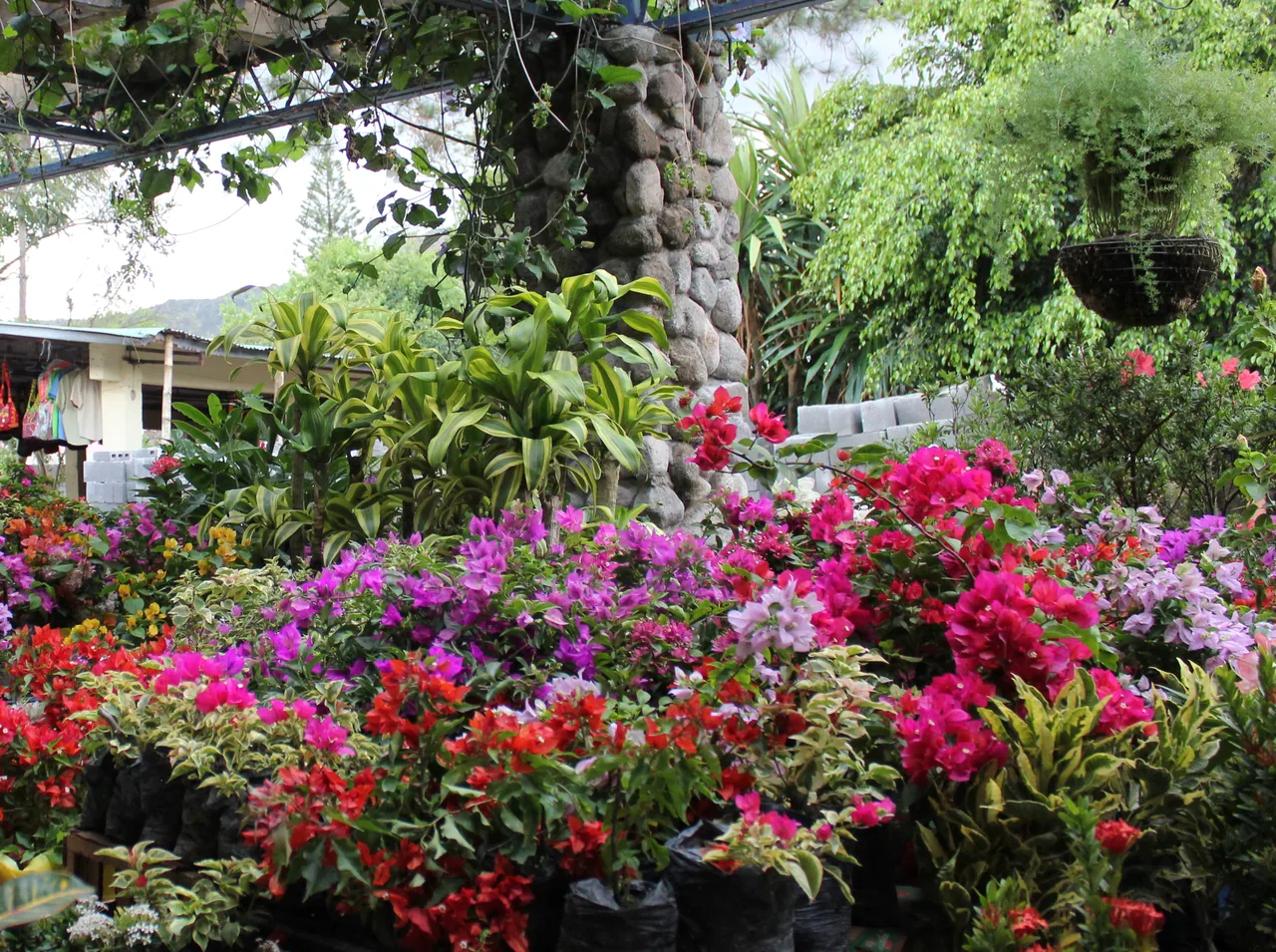 Mercado de artesanías y productos de El Valle