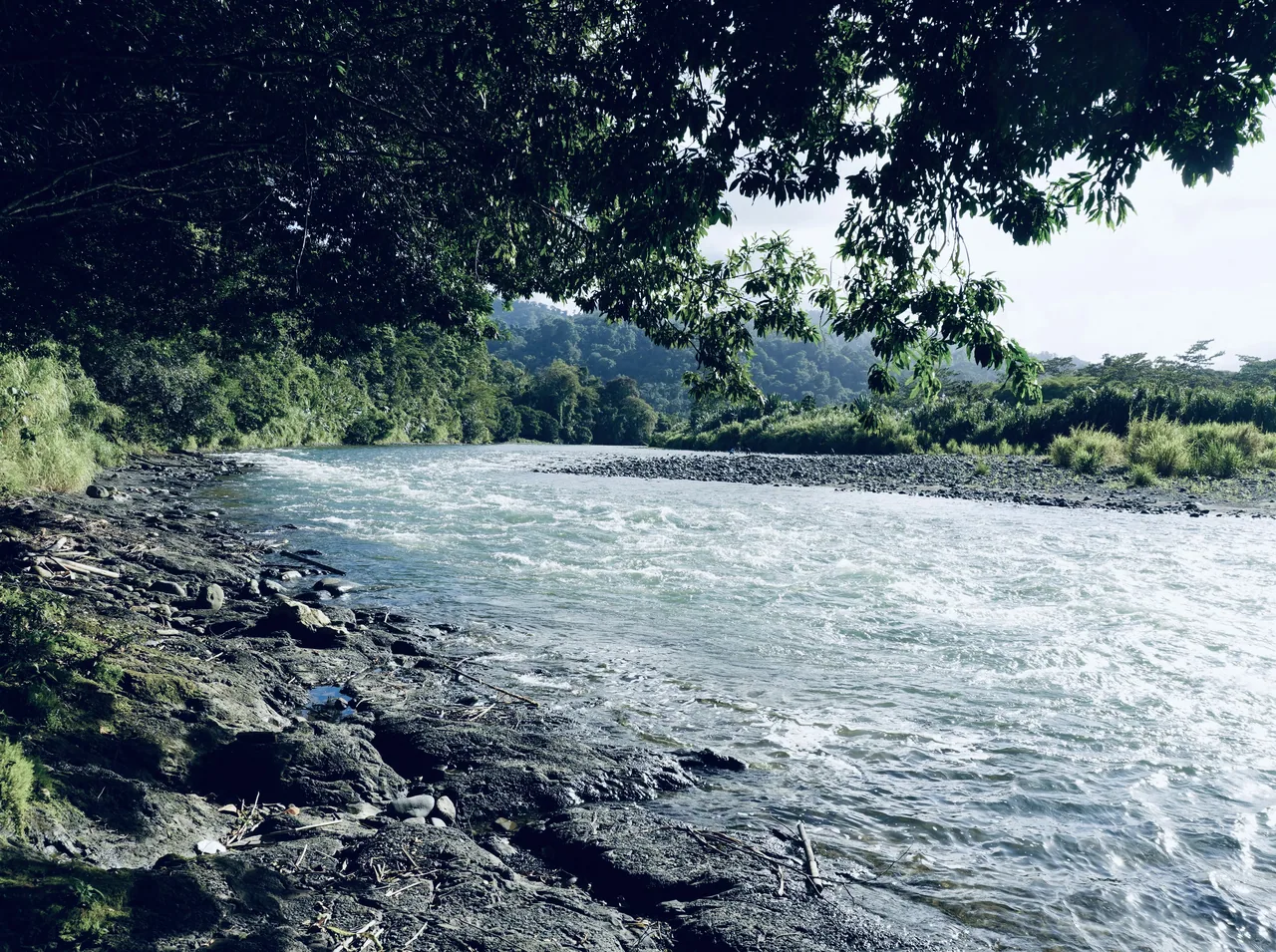 Río Teribe rodeado de vegetación en territorio naso.