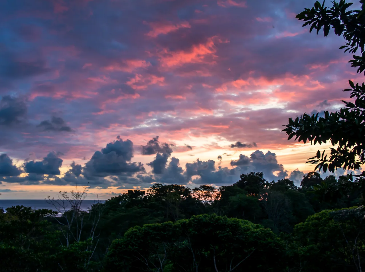 Sunset sky above the coastal vegetation of Ojochal.