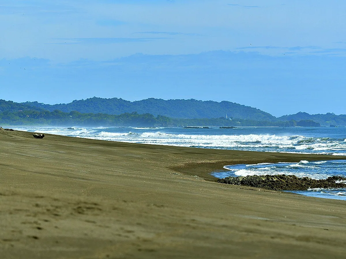 Olive ridley arribadas at Ostional