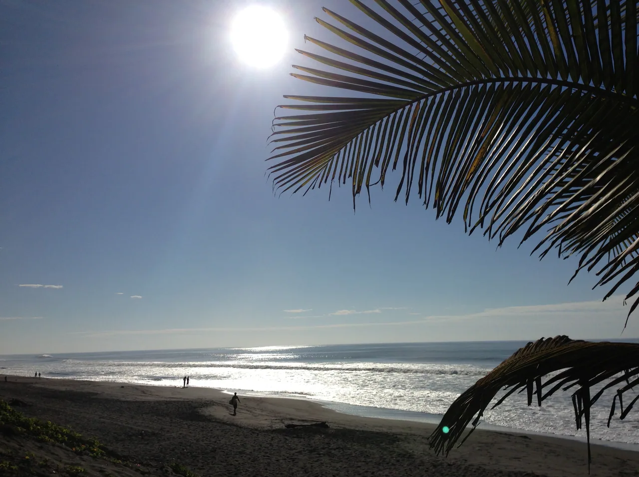 Playa de Sipacate a contraluz, con hojas de palmera y pequeñas siluetas en la orilla.