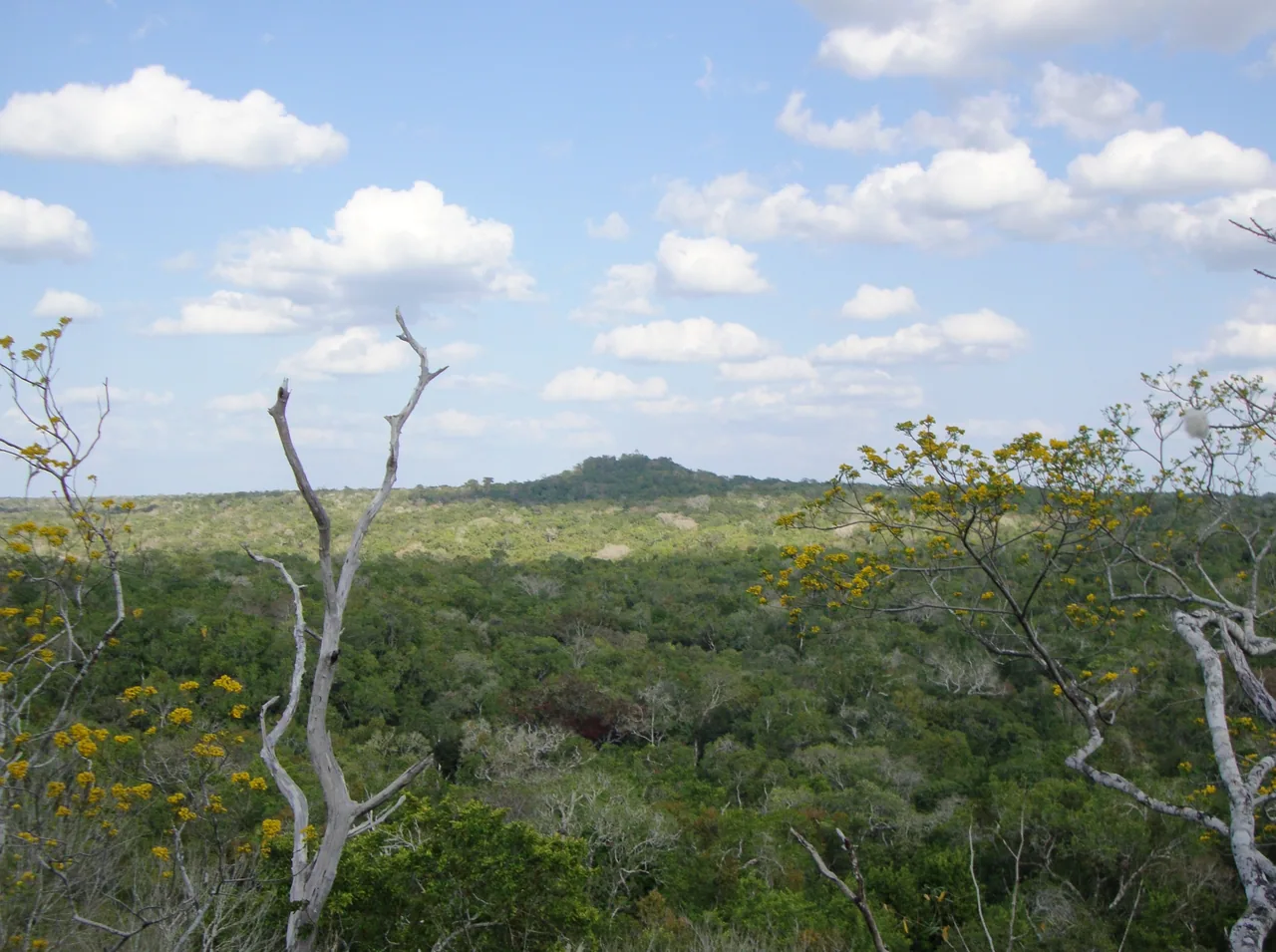 El Mirador