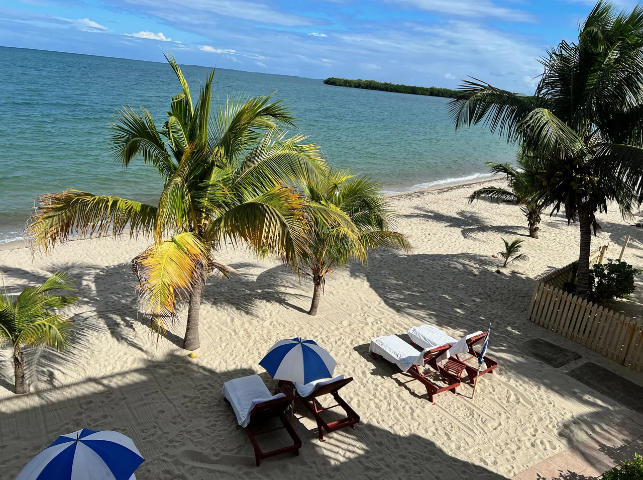 Beach with palms and loungers beneath umbrellas, facing a blue sea.