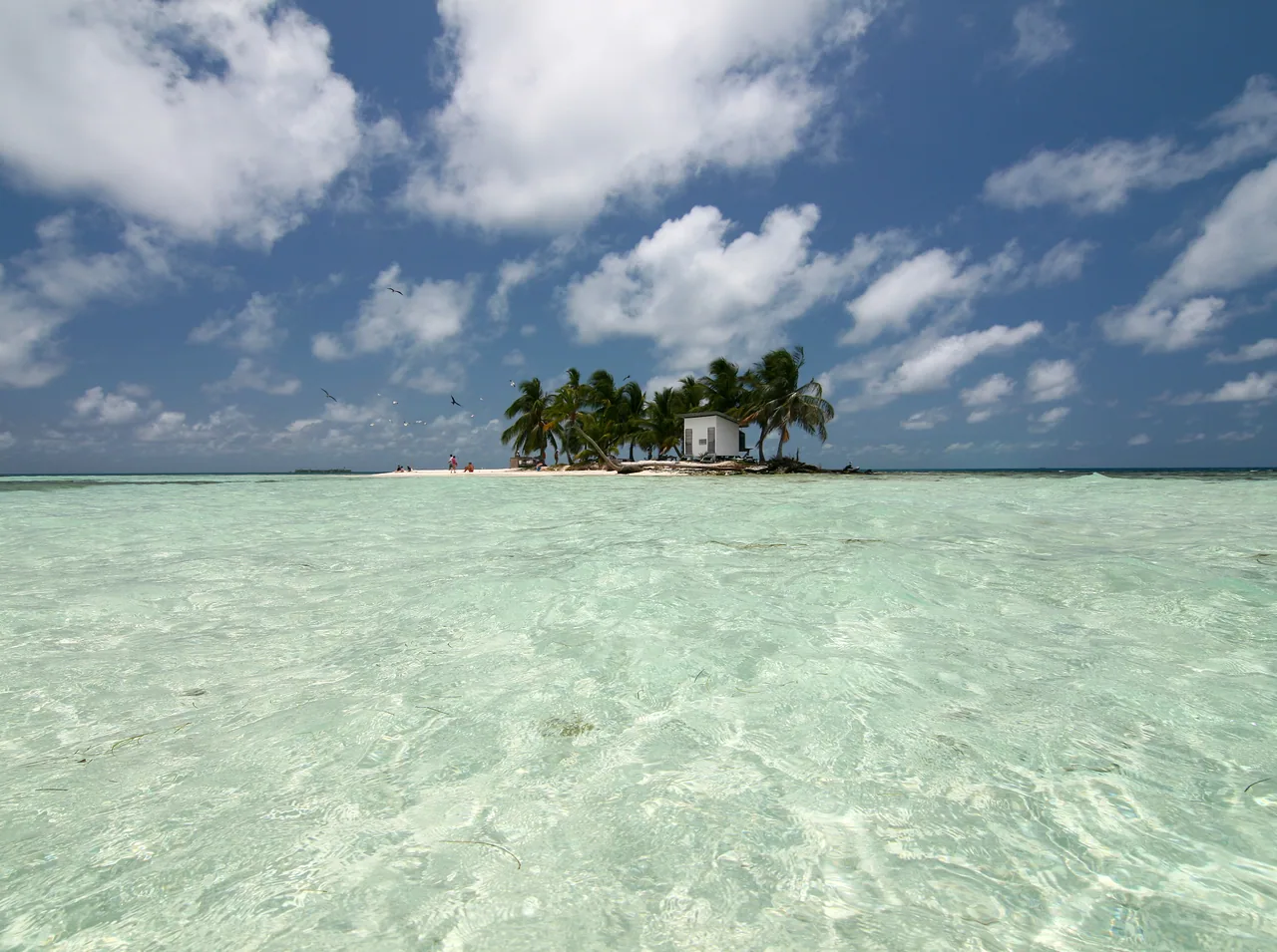 Small palm-covered cay surrounded by clear turquoise water.