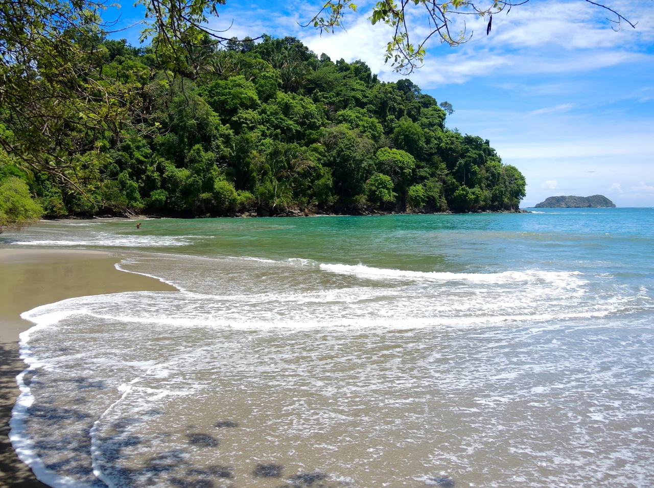 Gentle waves and turquoise water beside a forested headland at Playa Arco.