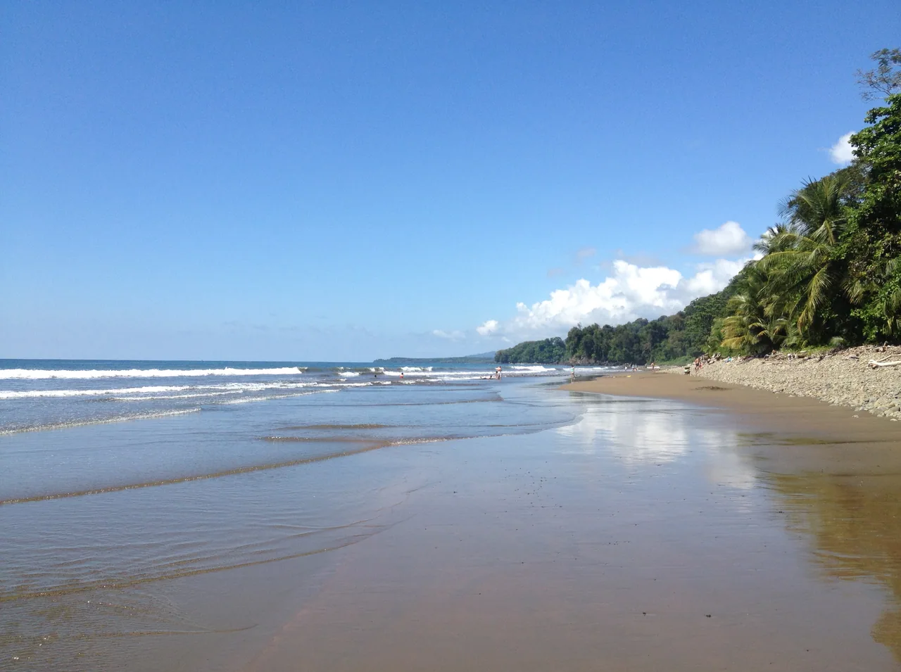 Wet sand reflecting the sky at Playa Ballena, with waves and trees along the coast.