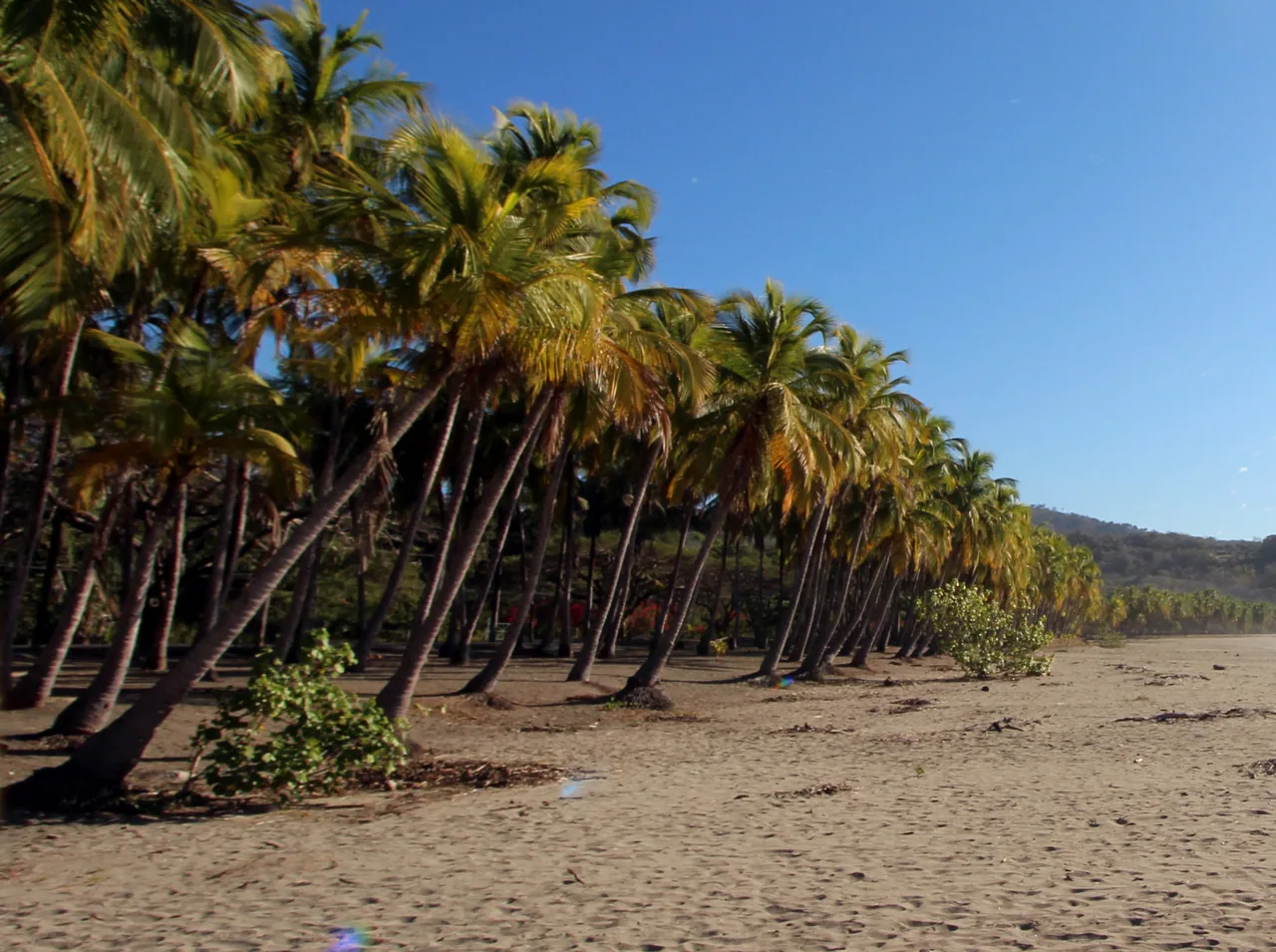Playa Carrillo