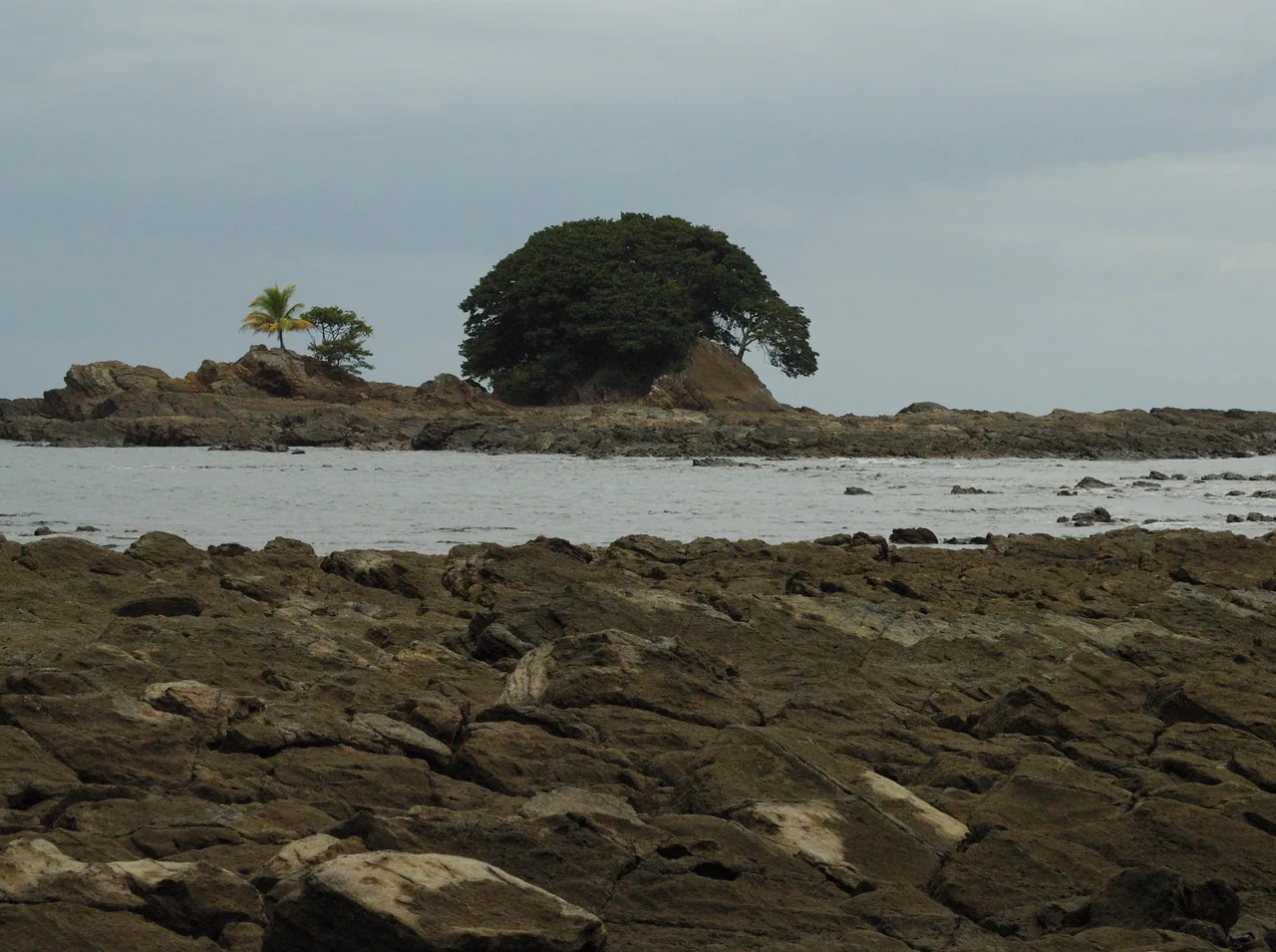 Coastal rocks and trees off Dominicalito Beach.