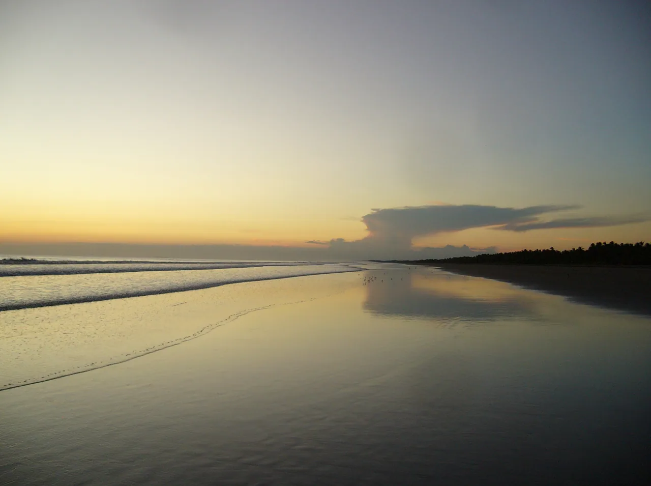 Golden sky and clouds reflected in the wet sand of Playa Las Lajas at sunset.
