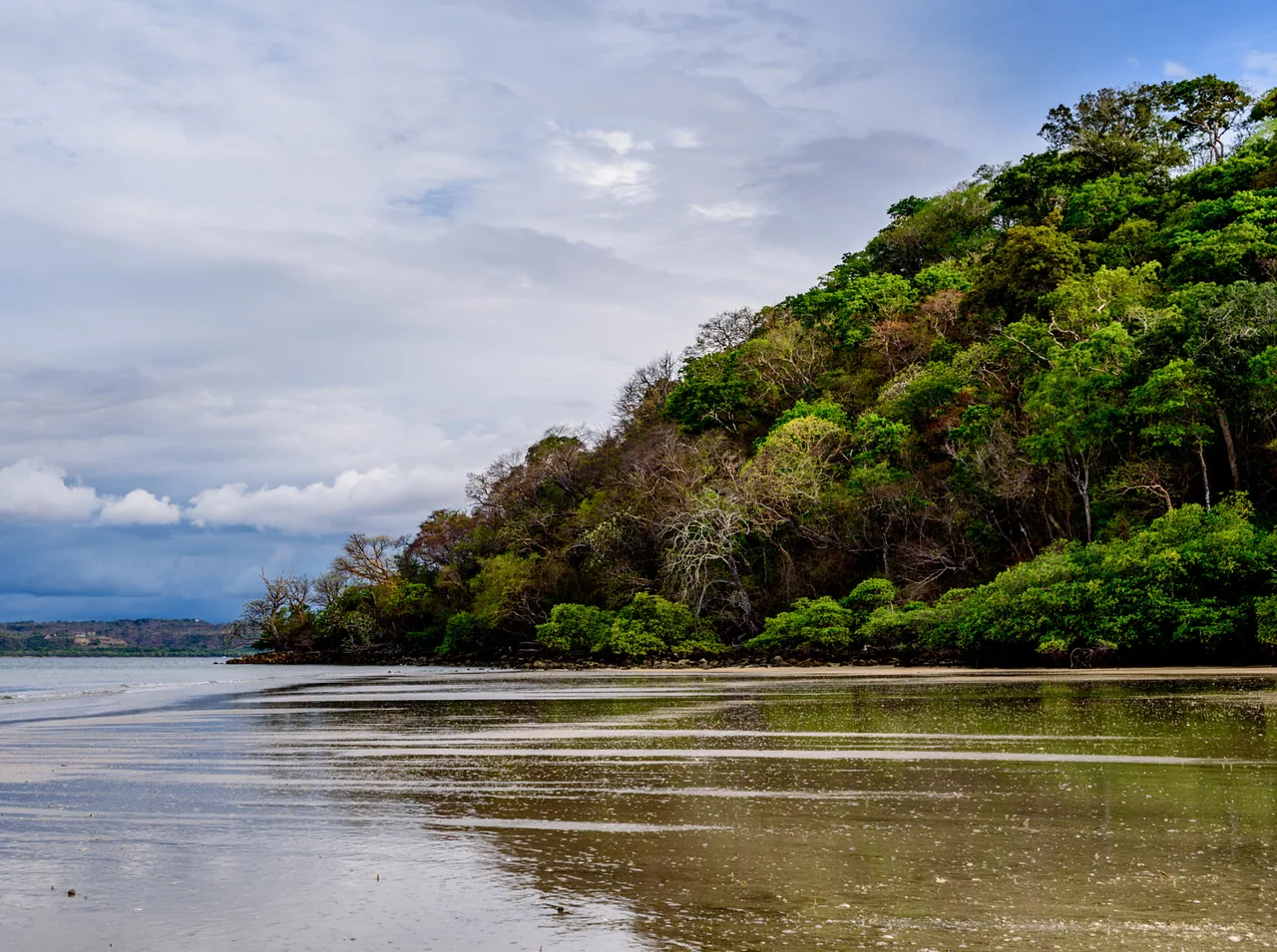 Forest and reflections along the shore of Playa Nacascolo.