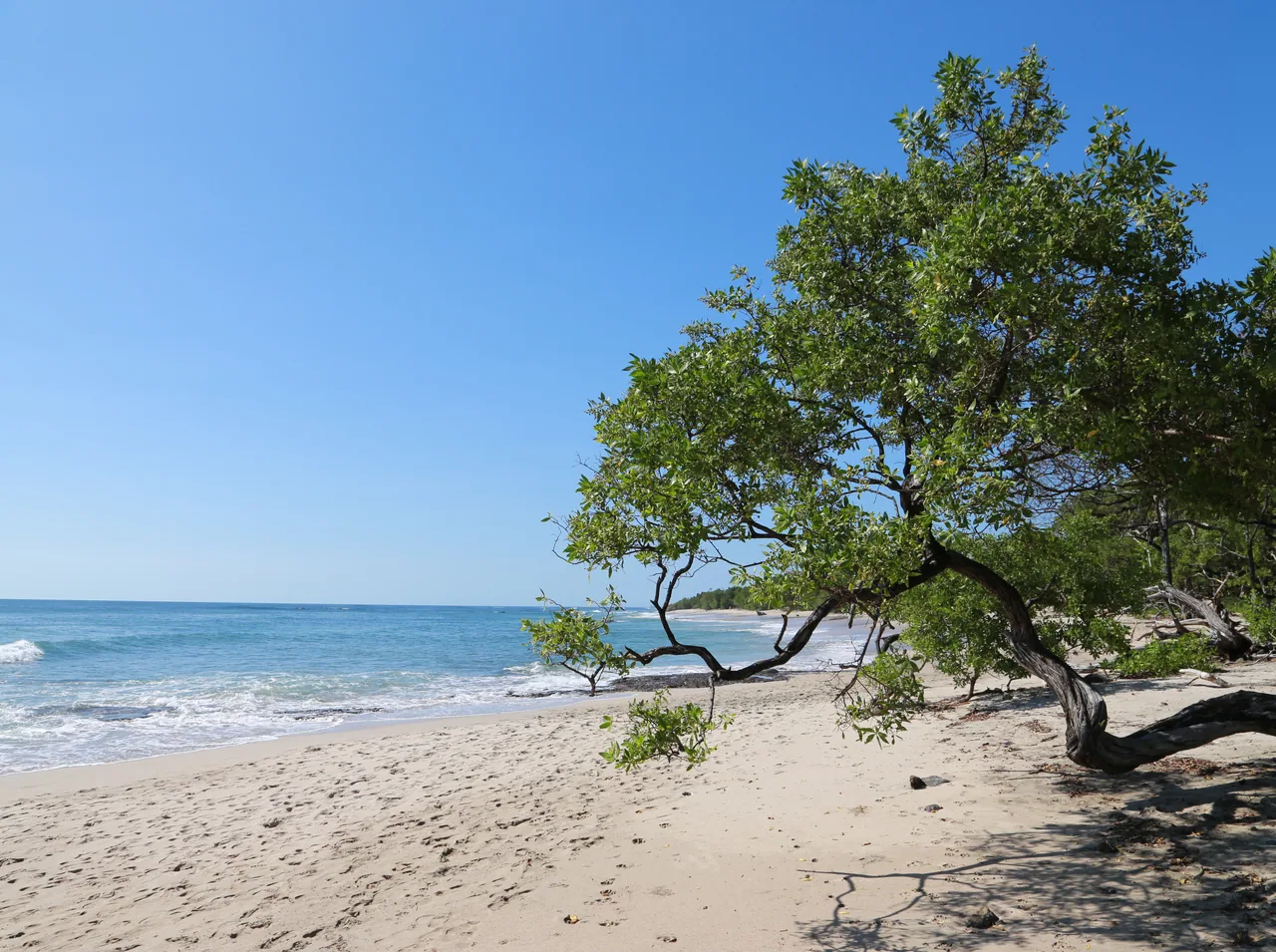 Playa Negra