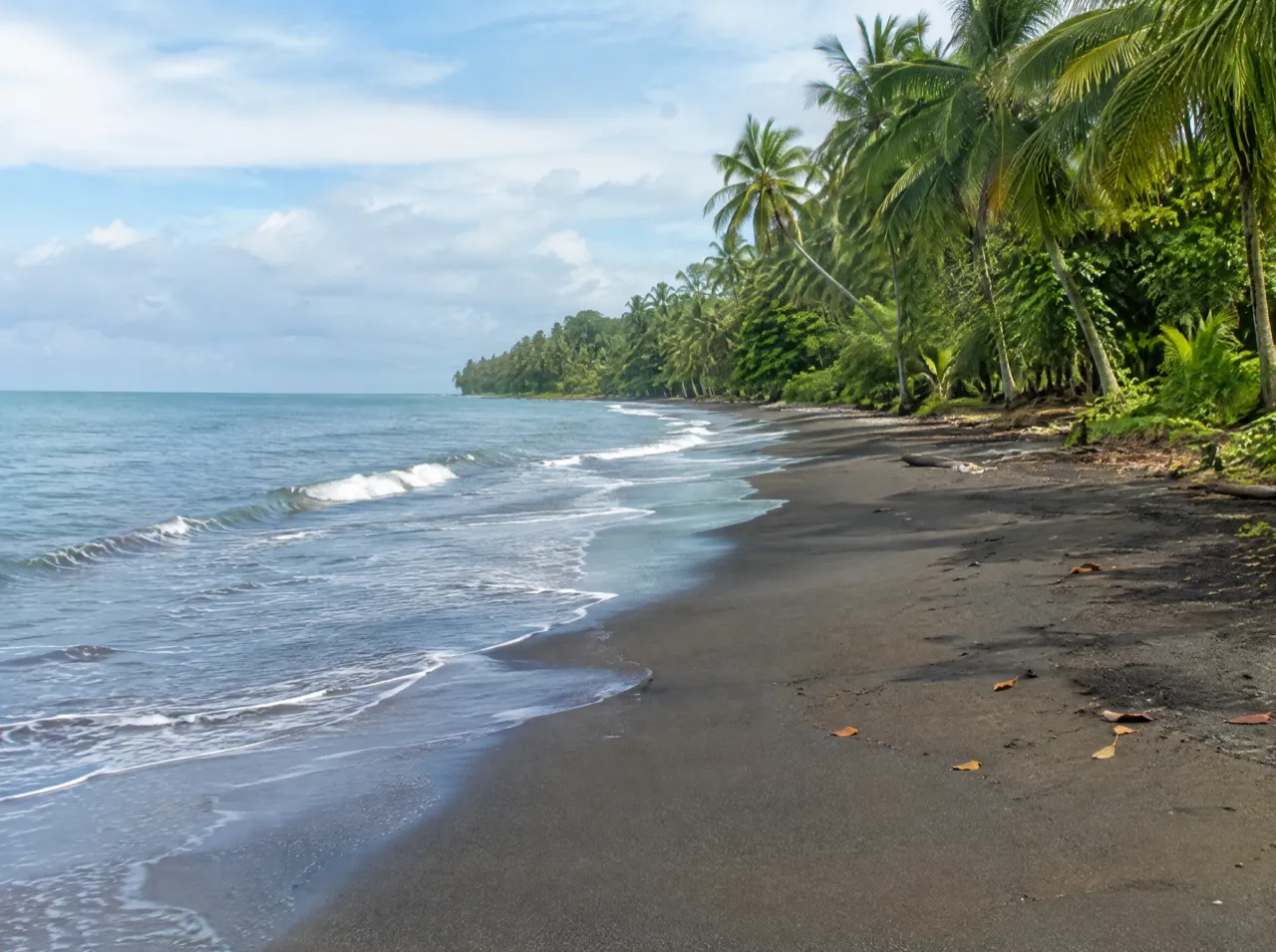 Playa Negra (Puerto Viejo)