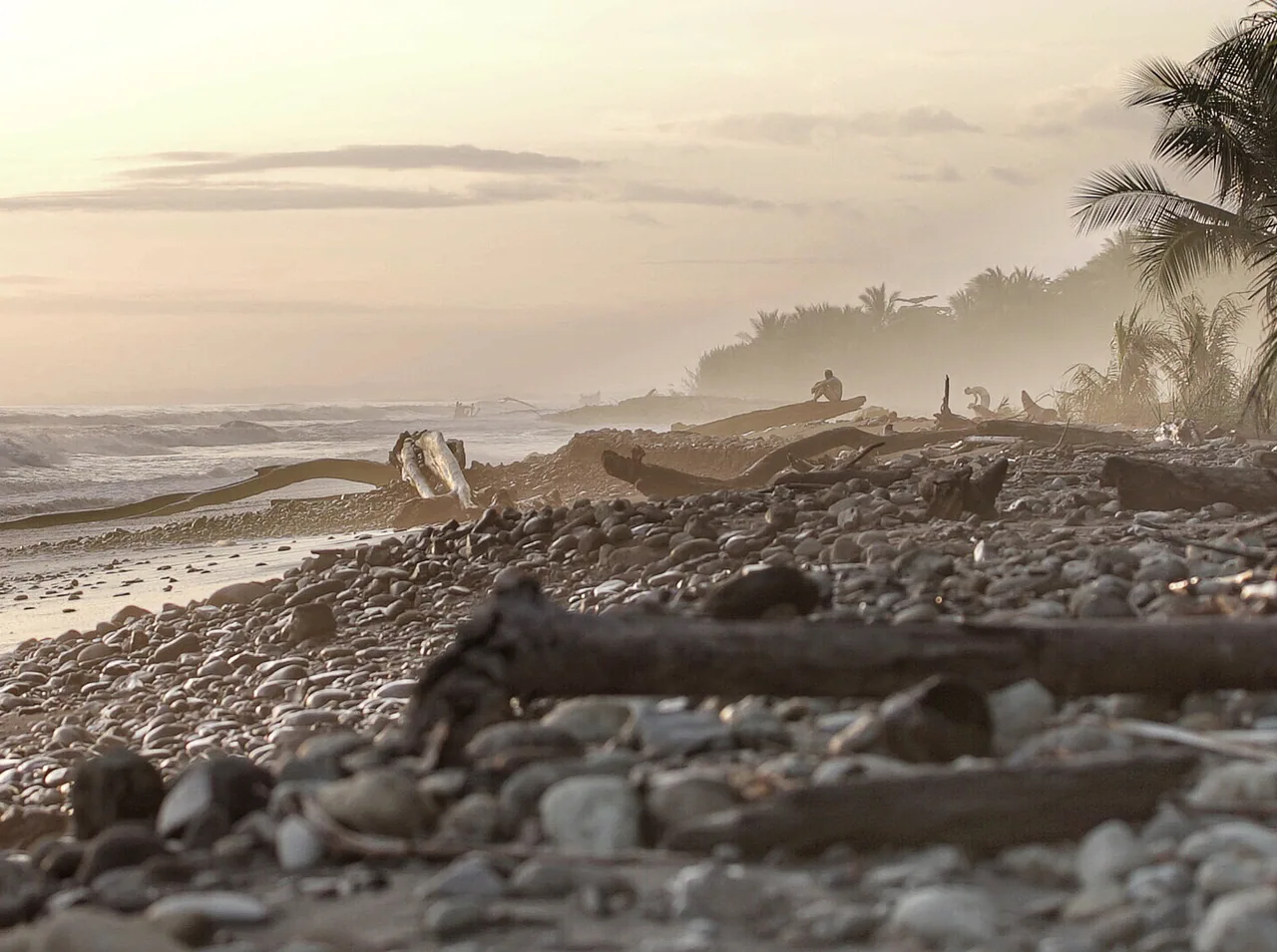 Rocks and driftwood on Dominical Beach at sunset.