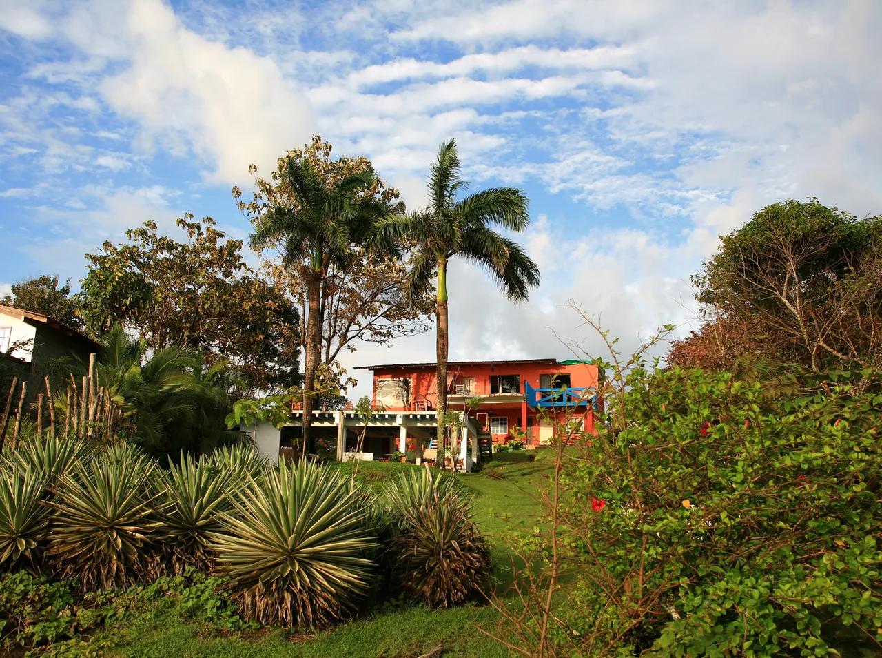 Jardín tropical con palmeras frente al edificio del Hotel Punta Brava, en Santa Catalina.