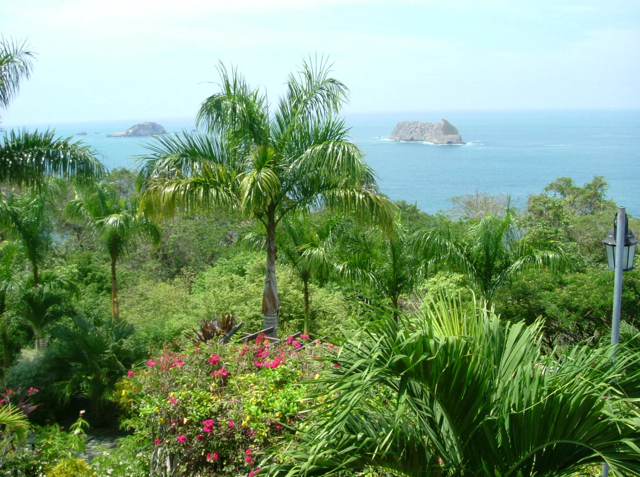 Palms and flowers overlooking the sea and islets at Punta Quepos.
