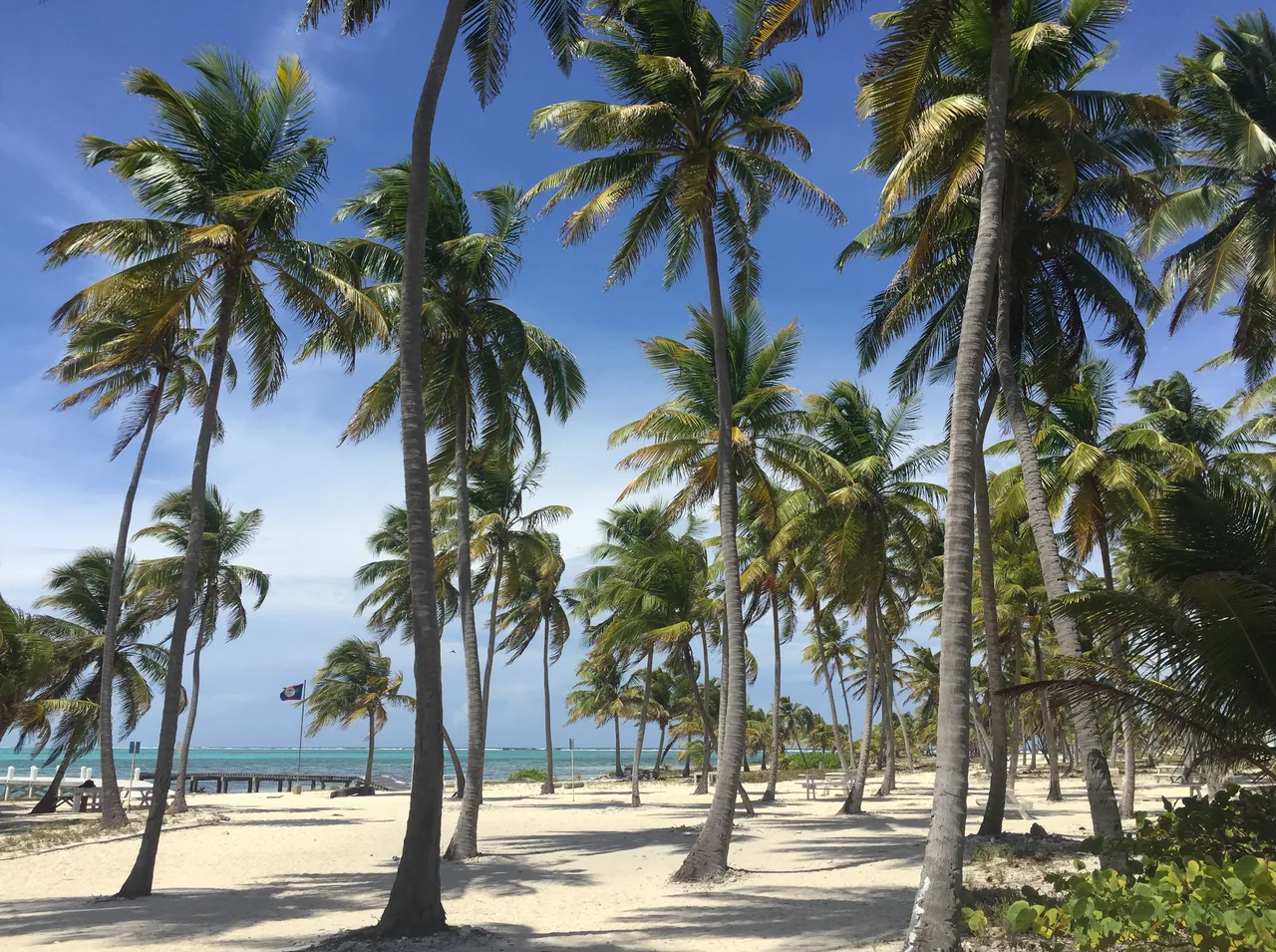 Half Moon Caye Natural Monument