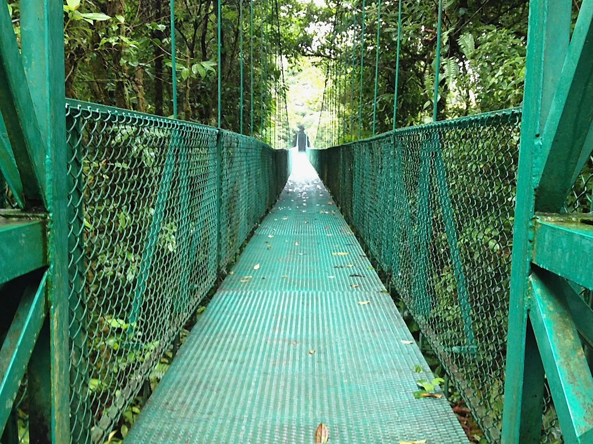 Selvatura Park: hanging bridges and canopy