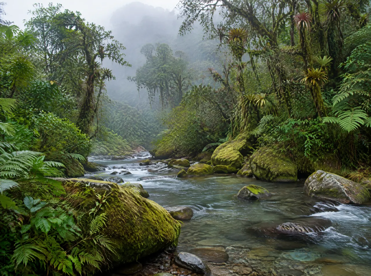 Tapantí–Macizo de la Muerte National Park