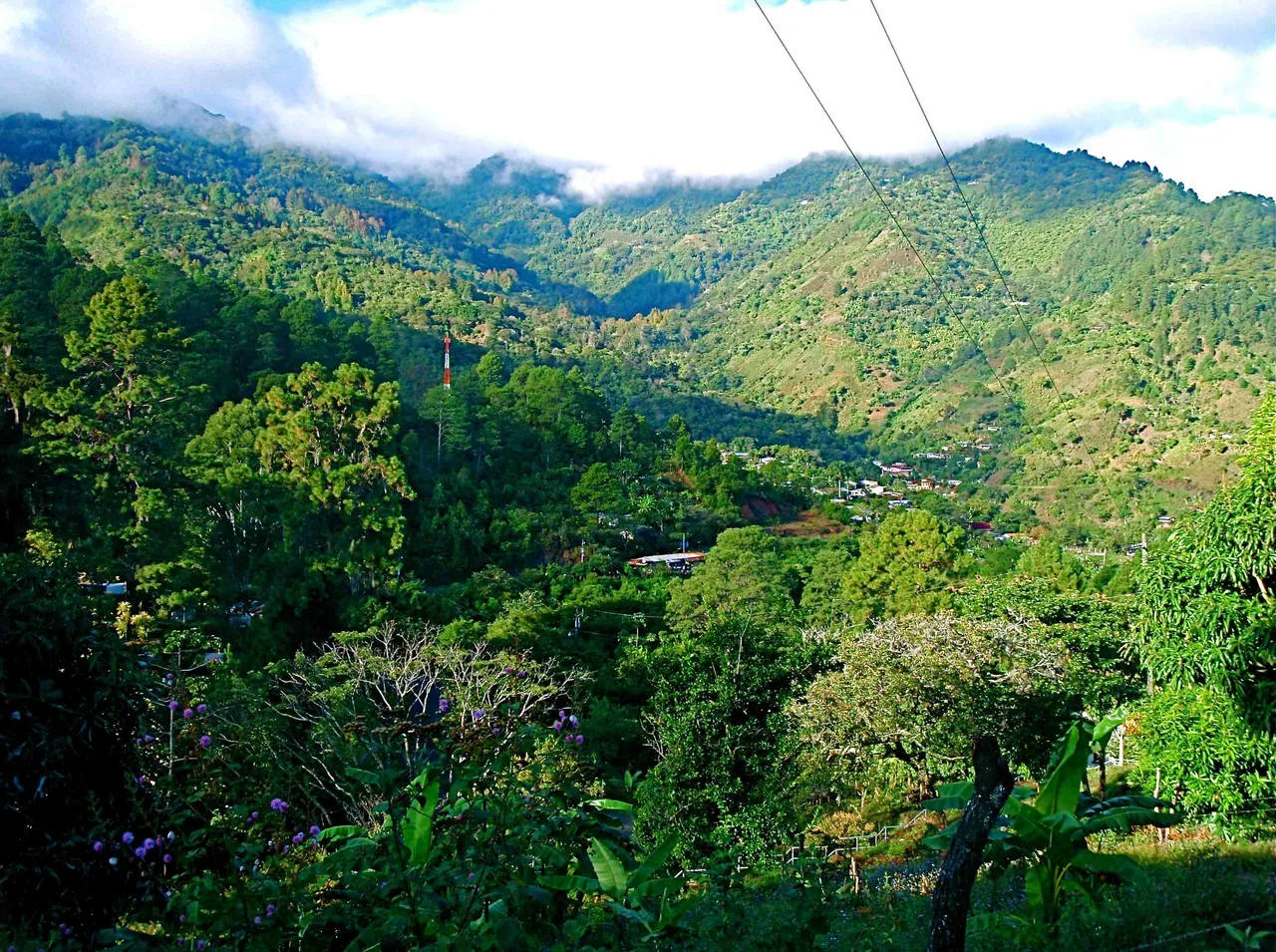 Parque Nacional La Tigra