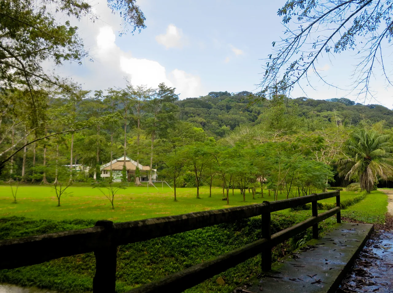 Lawn, trees and a house at Lancetilla Botanical Garden behind a wooden fence.