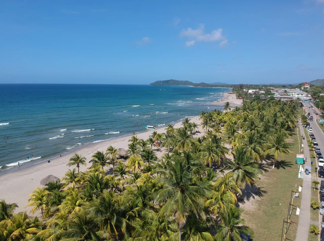 Long beach with coconut palms, waves and a distant hill, seen from the air.