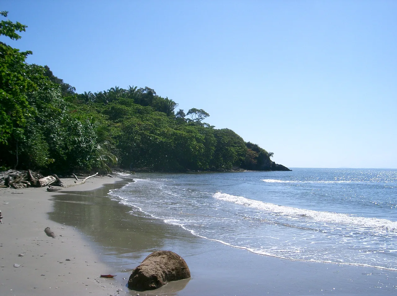 Sandy cove with gentle waves, a rock and a forest-covered headland.