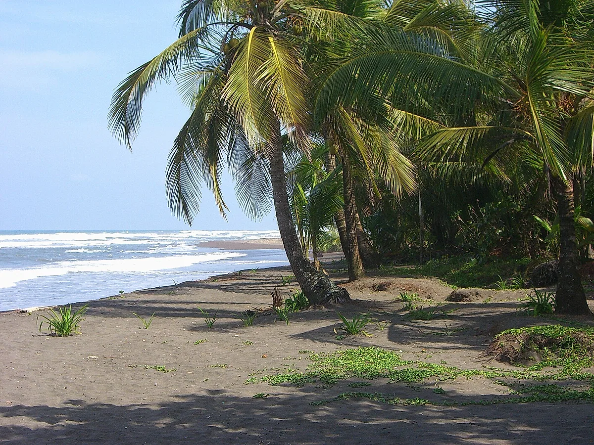 Tortuguero beach (daytime)