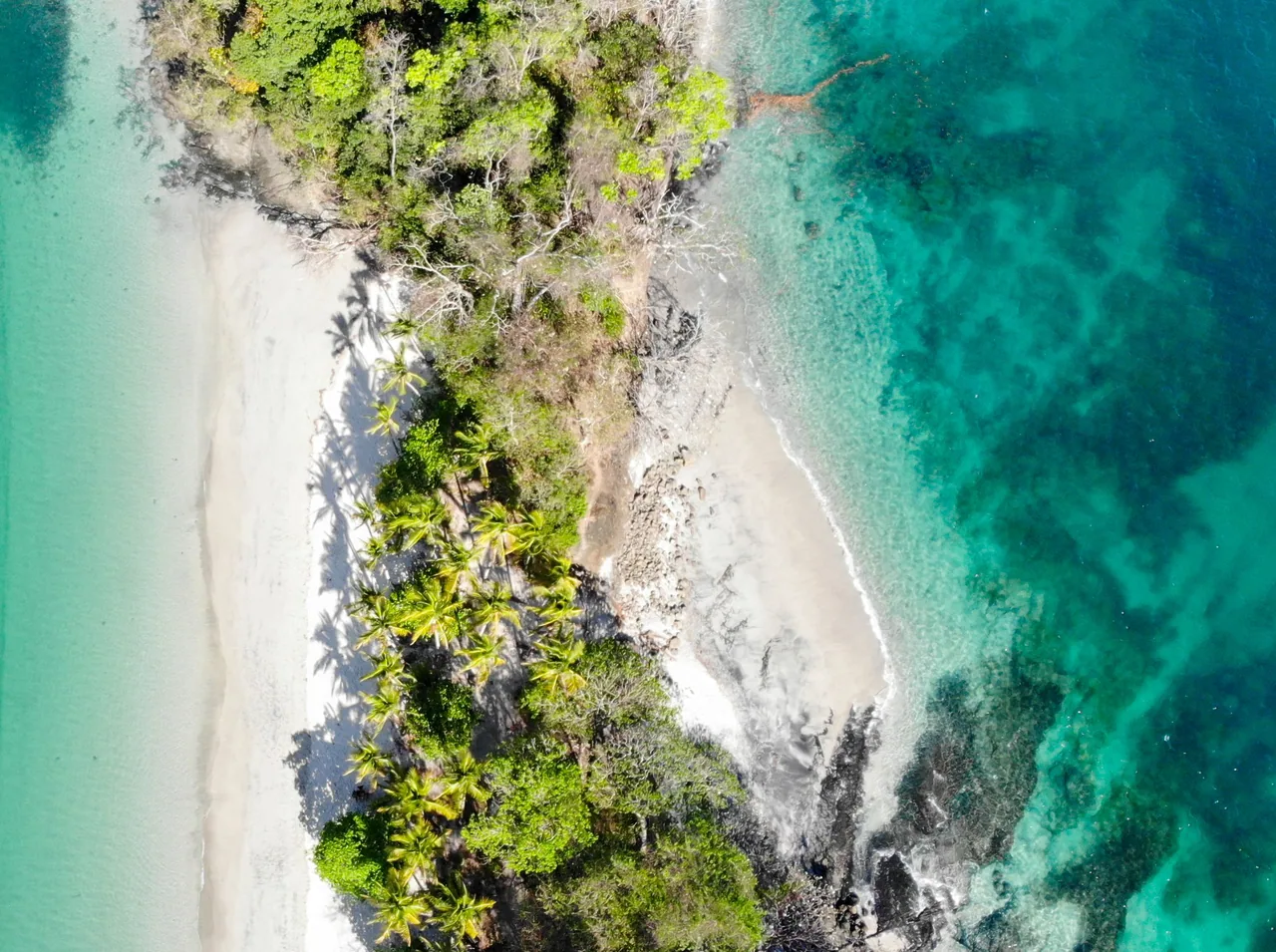 Three-island tour (Bolaños, Gámez and Parida)