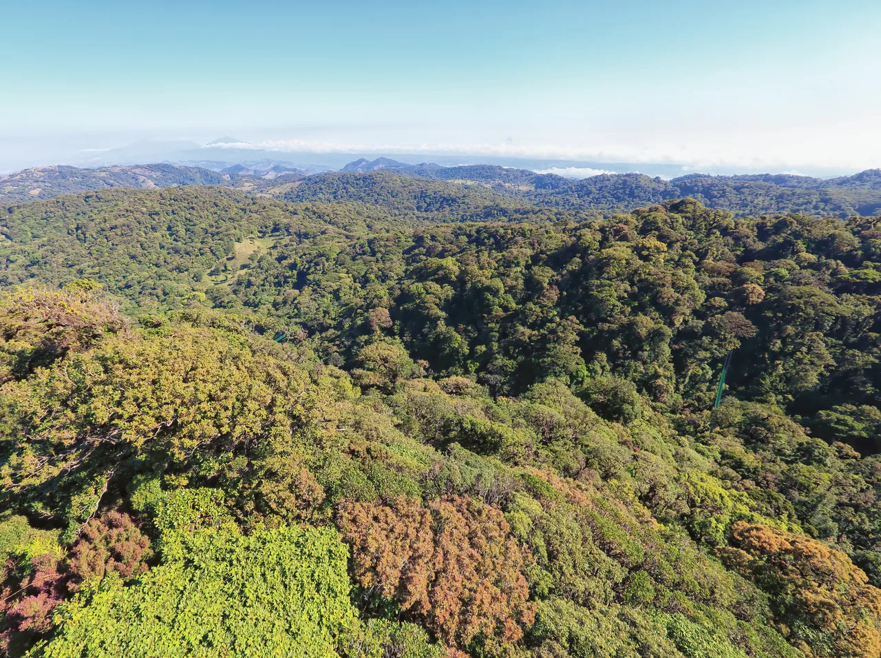 Forest and hillsides of Monteverde seen from the aerial tram route.