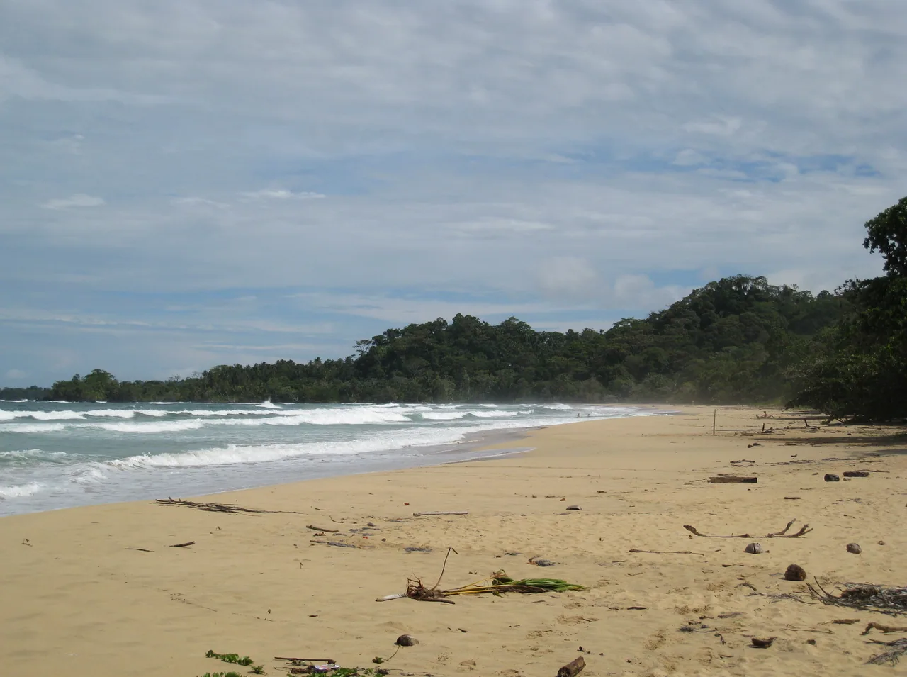 Oleaje, arena y selva costera bajo un cielo nublado en Wizard Beach, Bastimentos.