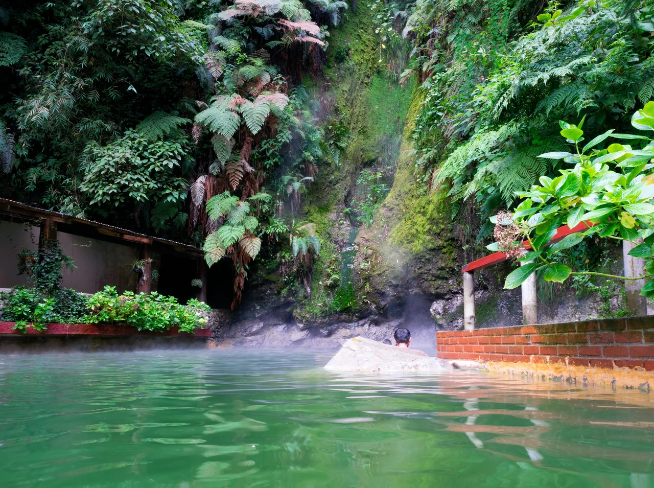 Thermal pool at Fuentes Georginas amid steam and vegetation, with a bather seen from behind.